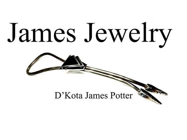 D'Kota James Potter