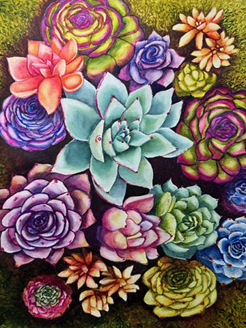 Succulents 1