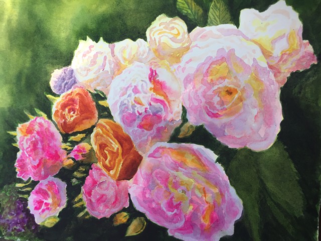 Garden Roses