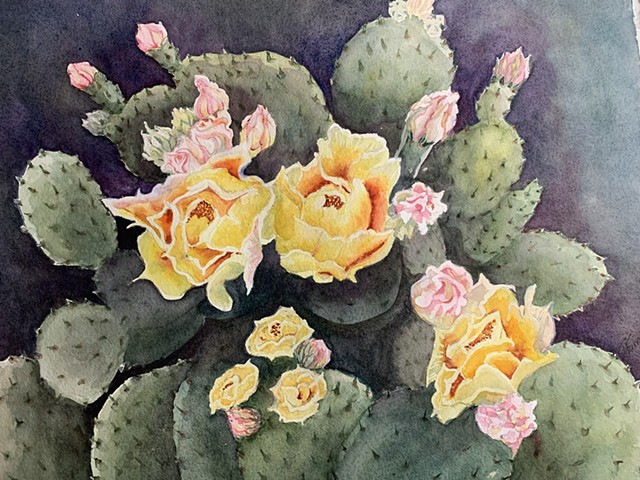 Prickly Pear Blooms