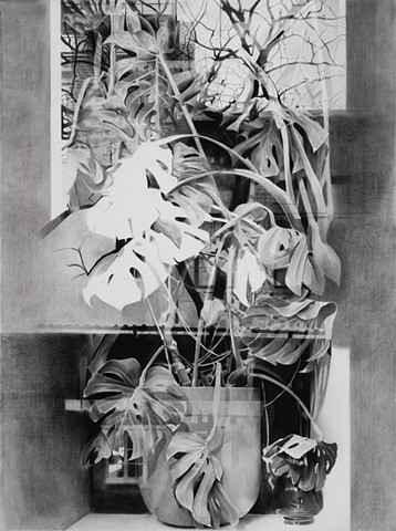 Untitled window series 20
