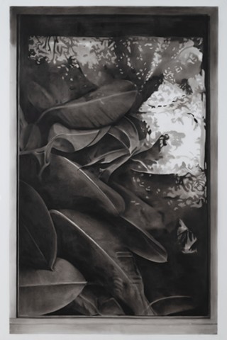 Untitled window series 16