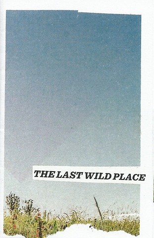 The Last Wild Place