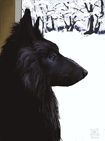 a commissioned digital drawing of a Belgian Shepherd