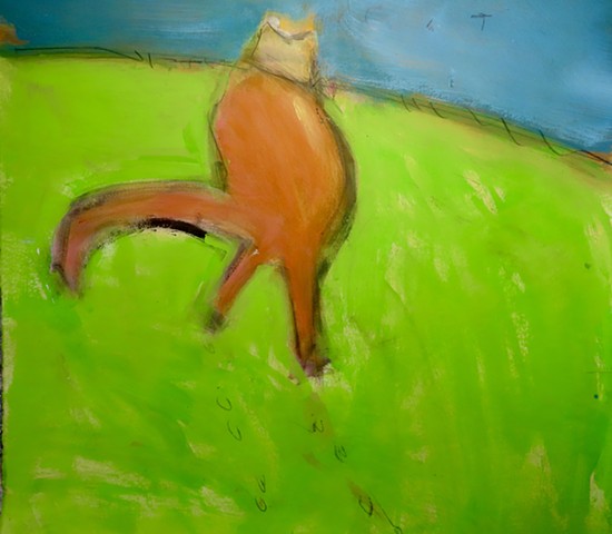 Cat Walk