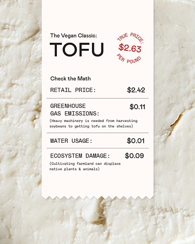 Food for Thought: Tofu
