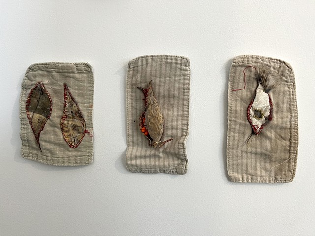Milkweed Bound Detail