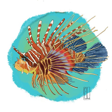 Lion Fish