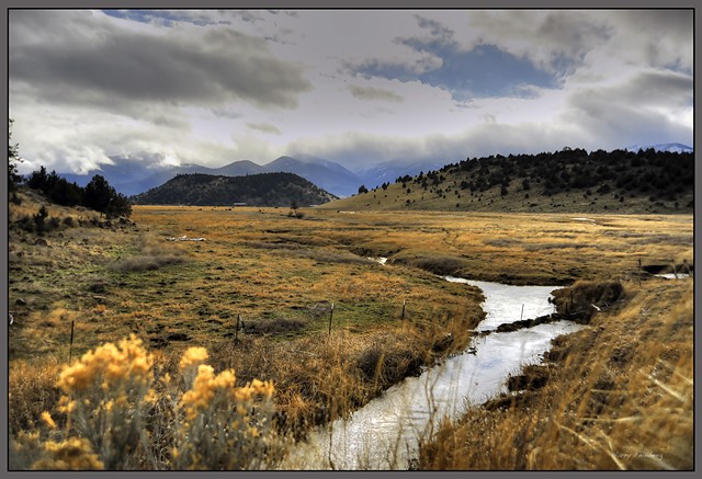 Weed to Lake Shastina