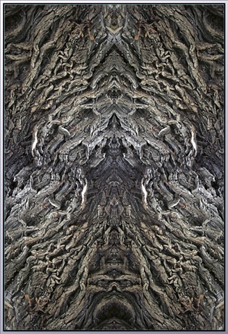 Stones, Bones and Hidden Allies #11
