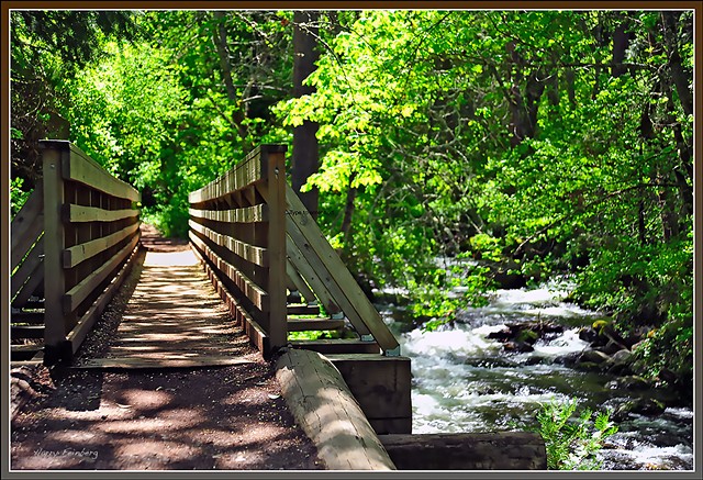 Lithia Park Trail