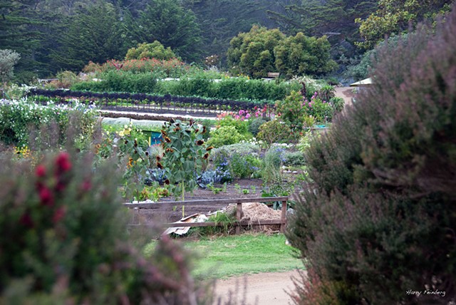 Esalen Buddha Garden