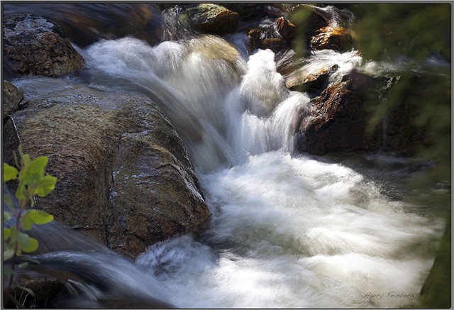 Flowing Waters