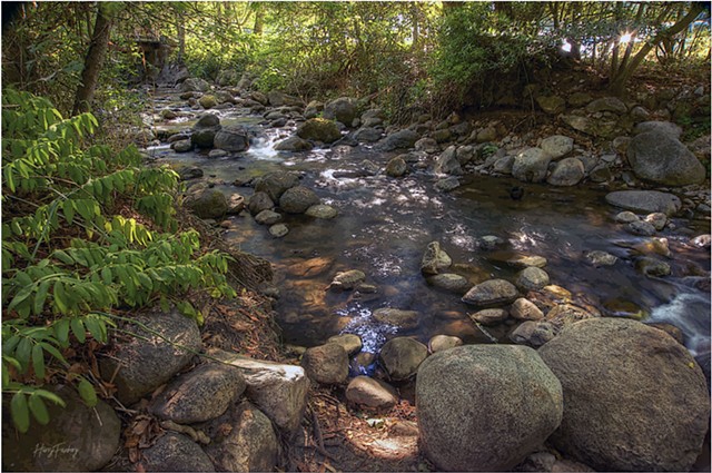 Lithia Park Flowing Waters