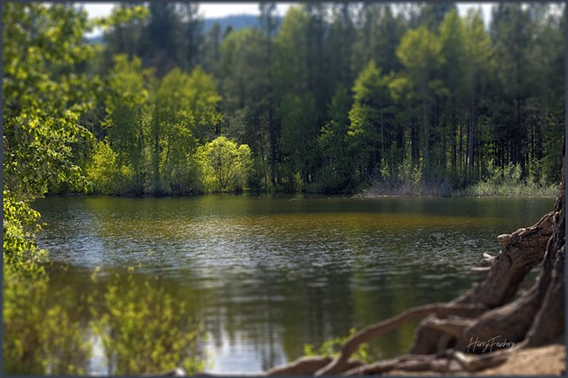 Lake Siskiyou