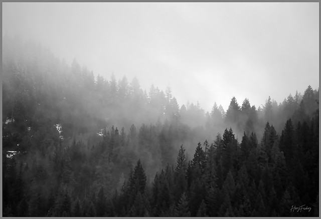 Drifting Fog