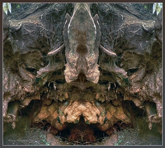Stones Bones and Hidden Allies