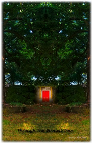 Through the Wooded Door