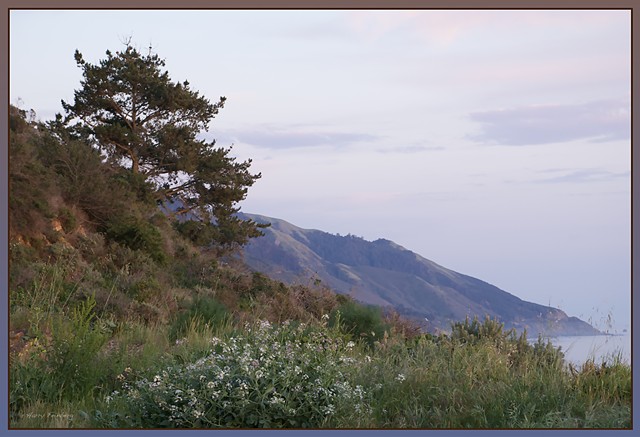 Big Sur Cliffside