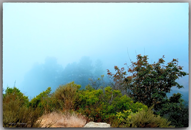 Big Sur Coastal Fog