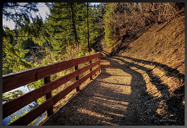 Lake Siskiyou North Shore Trail