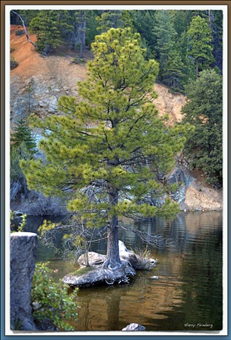 Siskiyou Lake