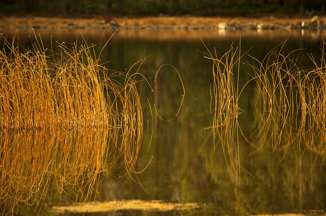 Gumboot Lake