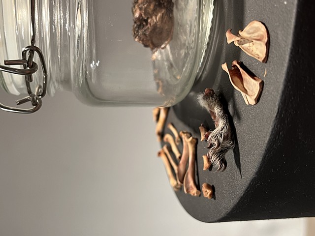 Mr. Murphy: Squirrel, Father, Friend