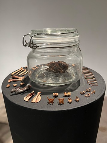 Mr. Murphy: Squirrel Father Friend