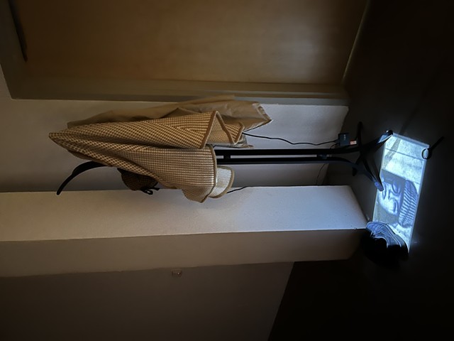 Sneaky Sally Likes To Spy