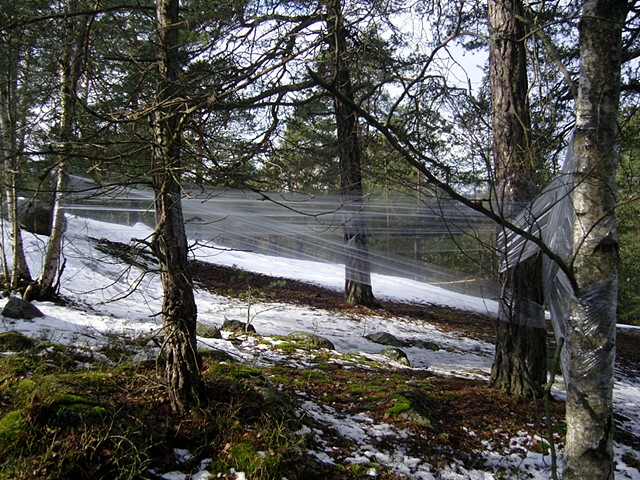 Images of Time III: Plastic on Trees