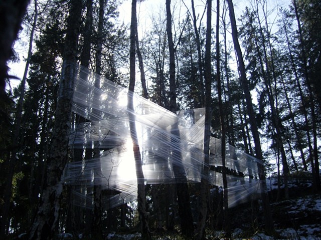 Images of Time III: Plastic on Trees