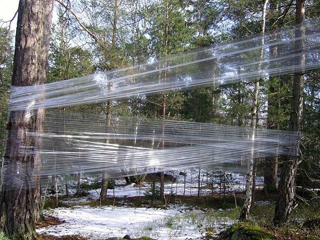 Images of Time III: Plastic on Trees