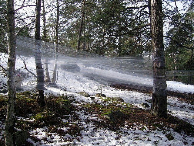 Images of Time III: Plastic on Trees