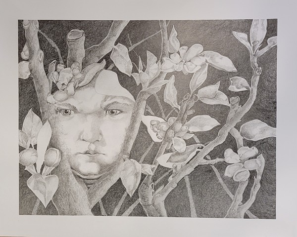 Graphite Drawings