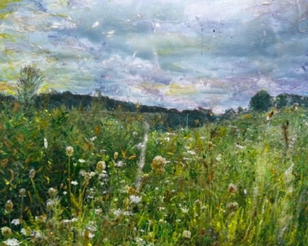 Fields of Ancram, NY