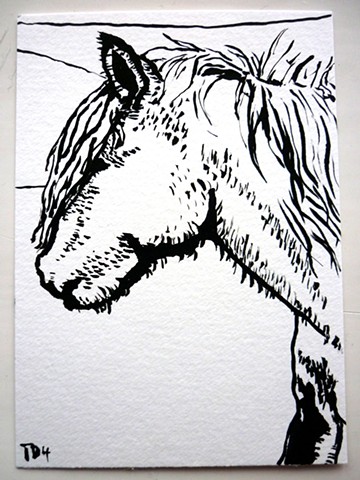 Postcard 4