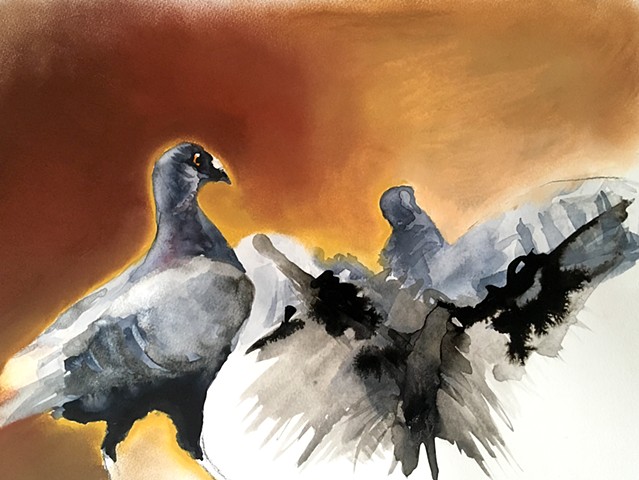 Birds