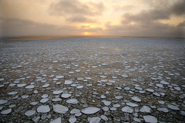 Pancake ice on the Bothnian Sea; From "Majestic Monotony"