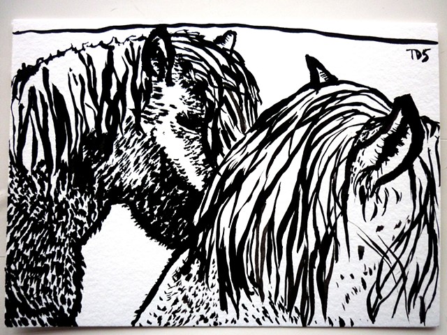 Postcard 5