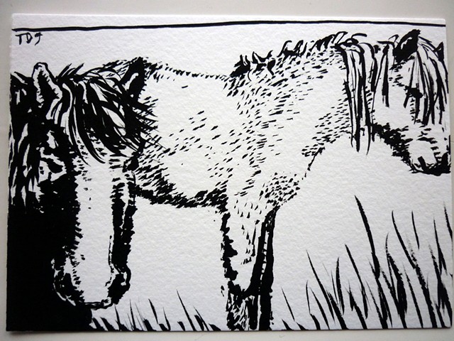 Postcard 9