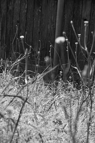 Wading, Waiting