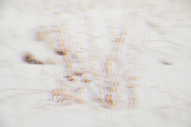 V (detail)