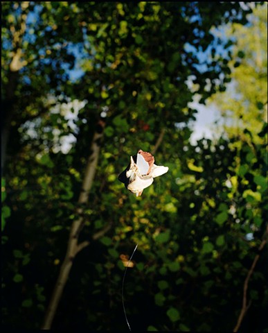 what lies past the limit is the jabberwocky's marrow