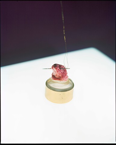 can we see a purple metaphor for clouds