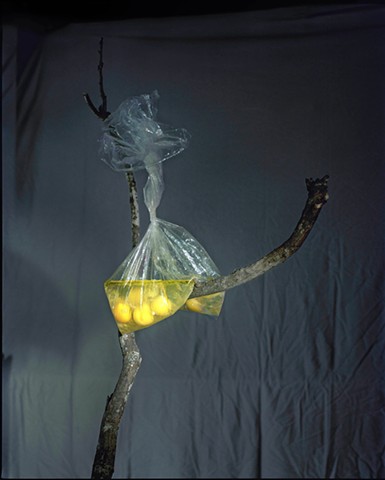 the madman keeps a brain in a vat