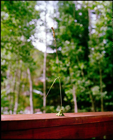 letting down the ladder that never held us