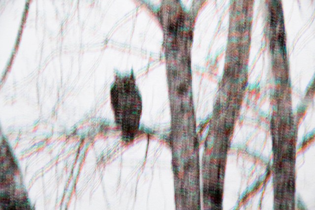 VII (detail)