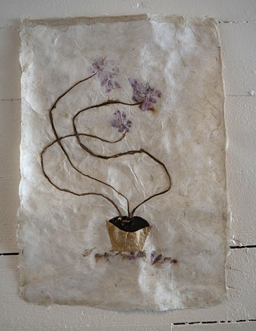 Pelargonia