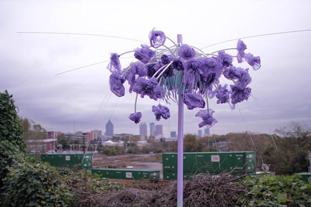 Dandelion City